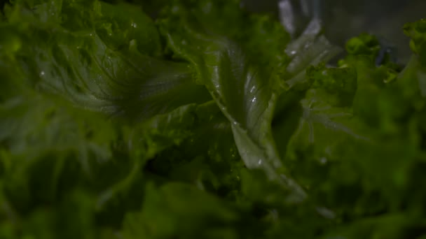 Helft Van Tomaat Valt Bladeren Van Salade Saladebladeren Met Waterdruppels — Stockvideo