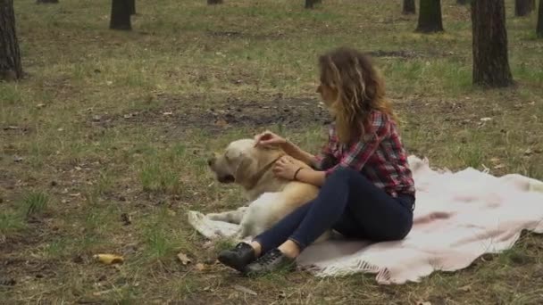 Jovem Está Passando Tempo Com Cão Floresta Deitado Cobertor Vídeo — Vídeo de Stock