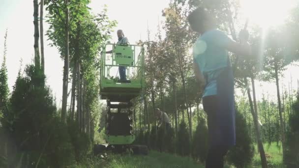 Seasonal Harvesting Process People Collect Harvest Using Machine Elevator Worker — Stock Video