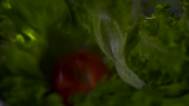Pomidor Wpada Liści Sałatki Liście Sałatki Kropelkami Wody Zbliżenie Czarne — Wideo stockowe