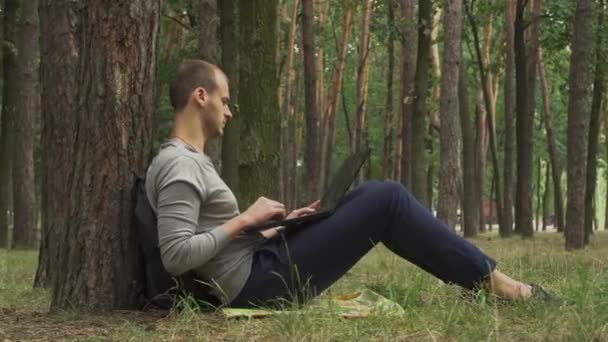 Видео Мужчина Работает Ноутбуке Лесу Сидя Земле Одеяле — стоковое видео