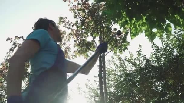 Worker Pick Harvest Stick Garden Man Cuts Branches Garden Seasonal — Stock Video