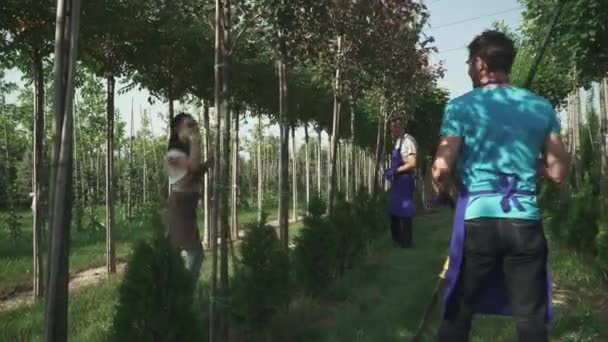 Los Trabajadores Cortan Hojas Ramas Jardín Trabajo Los Horticultores Proceso — Vídeos de Stock