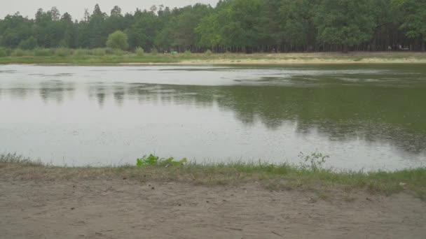 Mujer Rizada Está Paseando Con Perro Cerca Del Lago Chica — Vídeo de stock