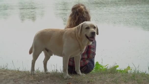 Video Van Curly Vrouw Labrador Hond Zitten Buurt Van Meer — Stockvideo