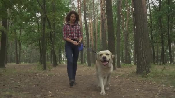 Mulher Bonita Caminha Com Cão Labrador Trela Floresta Vídeo — Vídeo de Stock