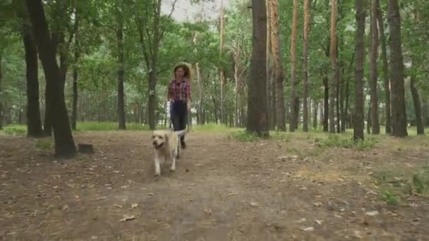 Mulher Bonita Correndo Com Cão Labrador Trela Floresta Vídeo — Vídeo de Stock