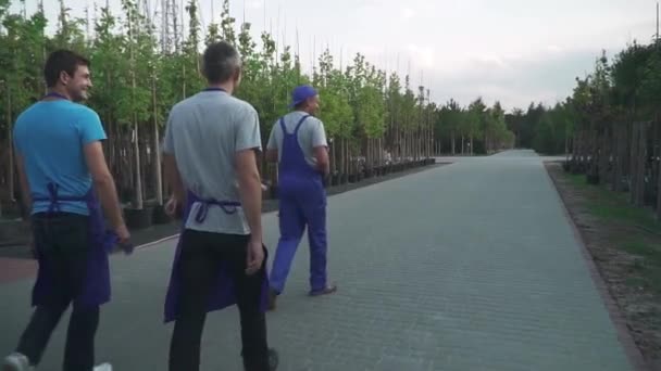 Quatre Jardiniers Promènent Dans Jardin Droite Gauche Belles Rangées Jeunes — Video