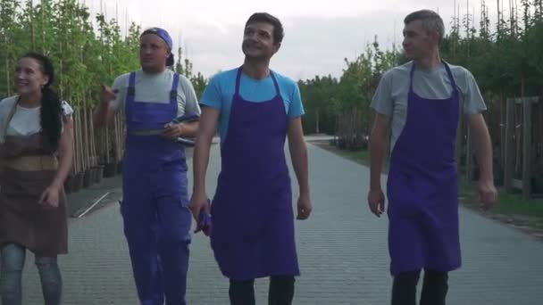 Cuatro Jardineros Están Caminando Jardín Derecha Izquierda Hay Filas Ordenadas — Vídeos de Stock