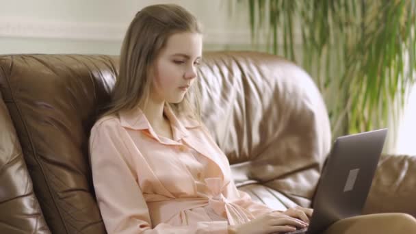 Chica Elegante Concentrada Sentada Sofá Cuero Escribiendo Teclado Del Portátil — Vídeos de Stock