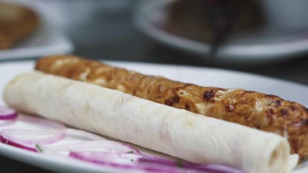 Tasty Kebab Sprinkling Paprika Big Plate Violet Onion Pita Close — Stock Video