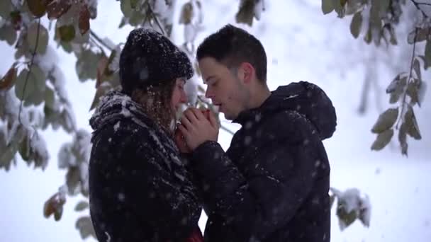 秋の雪の下で冬の公園で目を調べる美しい若い女性と男 男は女性の手を暖める ビデオ — ストック動画