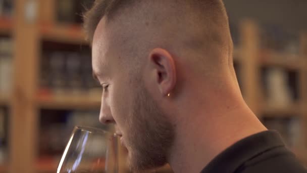 Portret Van Een Knappe Man Die Wijn Het Glas Van — Stockvideo