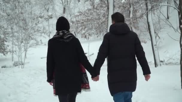 Νεαρός Άνδρας Και Γυναίκα Που Περπατούν Στο Χειμερινό Πάρκο Καλυμμένοι — Αρχείο Βίντεο
