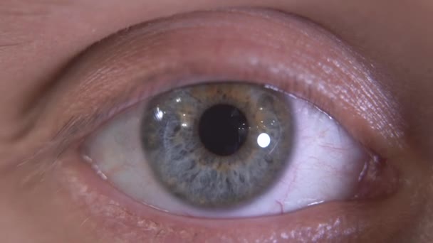 Close Van Het Mooie Grijze Oog Van Een Mens Macro — Stockvideo