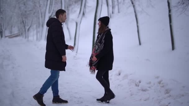 年轻夫妇相遇在雪地的公园和亲吻 年轻夫妇的日期 — 图库视频影像