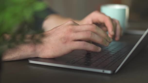整洁的男性手 长长的粗壮的手指在笔记本电脑上发短信 男性手在手提电脑上打字的情况 — 图库视频影像