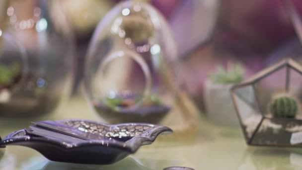 Plantes Décoratives Dans Des Flacons Verre Sur Table Focus Passe — Video