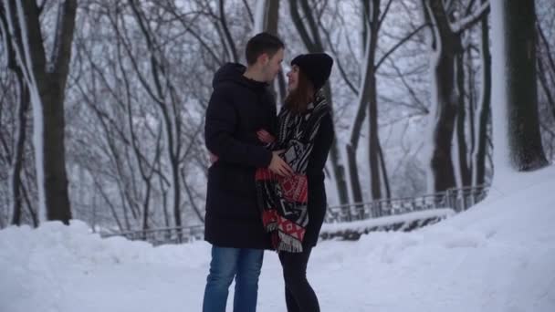 Mulher Bonita Parque Inverno Sob Queda Neve Vídeo — Vídeo de Stock