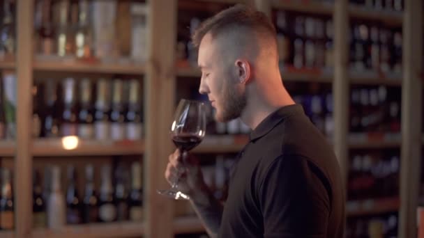 Retrato Homem Bonito Perfil Cheirando Vinho Copo Homem Levanta Copo — Vídeo de Stock