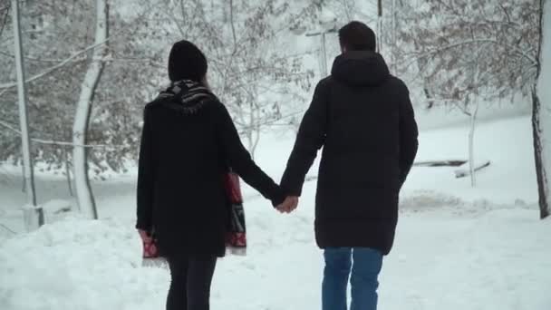 Giovane Uomo Donna Che Camminano Nel Parco Invernale Coperto Neve — Video Stock