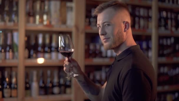 Portrét Pohledného Muže Profilu Držícího Sklenici Vína Muž Obdivuje Alkoholický — Stock video