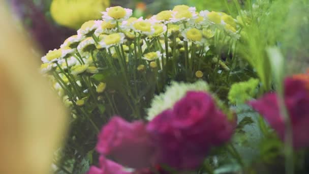 Beautiful Bouquet Flowers Video — Stock Video