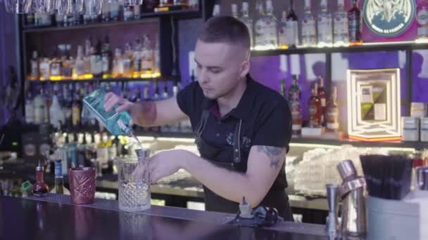 Barmen Baren Blandar Sig Med Långa Skedisbitar Glaset Dags Att — Stockvideo