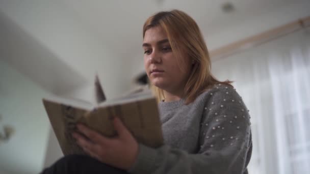 Chica Regordeta Leyendo Libro Sentado Sofá Casa Mujer Gorda Sosteniendo — Vídeos de Stock