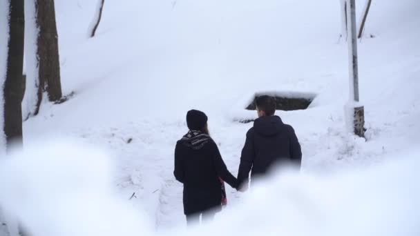 Joven Hombre Mujer Caminando Parque Invierno Cubierto Nieve Cogidos Mano — Vídeos de Stock