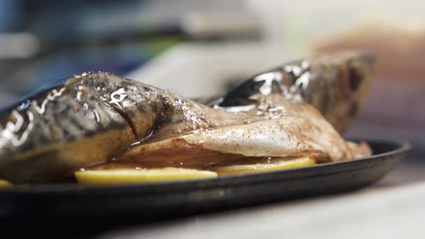 新鮮なサバの魚はスパイスを振りかけ 近くの黒いプレートにレモンを添えてひまわり油を注ぎました 背景がぼやけている 近代的なレストランでおいしい料理の準備 — ストック動画