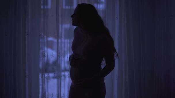 Красивая Беременная Женщина Ласкает Живот Стоя Темной Комнате Окном Видом — стоковое видео