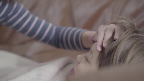 一只女的手放在一个生病的小男孩的额头上 那家伙躺在床上裹着一条毯子 — 图库视频影像