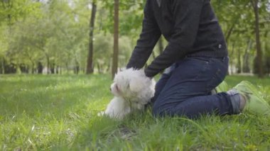Yakışıklı sarışın çocuk parkta tüylü köpeğiyle oynuyor, çimlerin üzerinde dizlerinin üzerinde duruyor. Çocuk sevimli hayvanını kaldırıyor. Dışarıda vakit geçirmek, hayvanları sevmek.