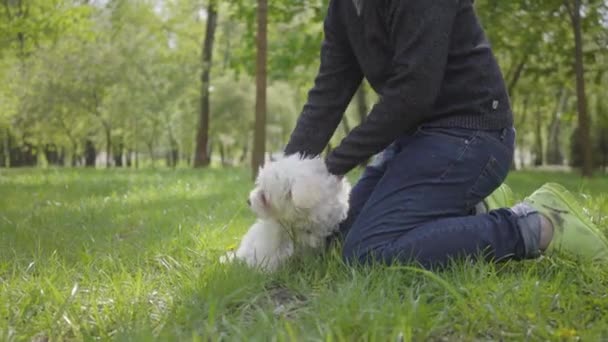 Snygg Blond Pojke Leker Med Sin Fluffiga Hund Parken Står — Stockvideo