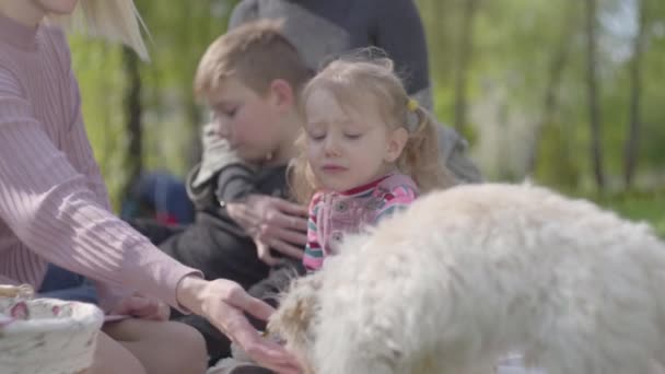 Twee Jonge Moeders Met Die Kinderen Zitten Deken Een Groen — Stockvideo