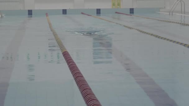 Vaardigheid Zwemmer Nauwelijks Uit Werken Het Overdekte Zwembad Zwemmen Baan — Stockvideo