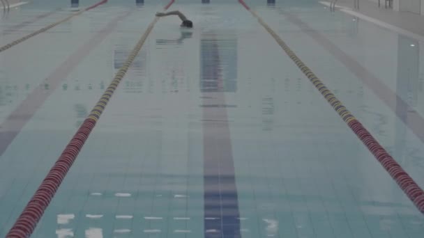 Nuotatore Professionista Piscina Coperta Che Nuota Lungo Pista Uno Stile — Video Stock