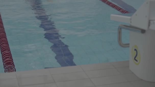 Nadador Profissional Mal Exercitando Piscina Interior Nadando Através Pista Estilo — Vídeo de Stock