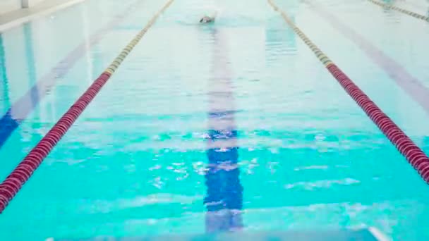 Athletic Professional Swimmer Hardly Working Out Diving Water Indoor Empty — Stok video