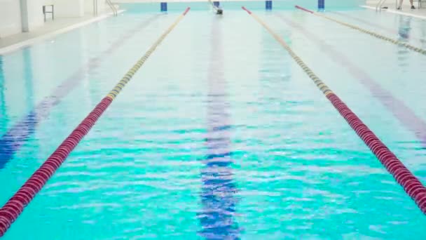 Profesional Deportista Nadador Masculino Saltando Piscina Desde Bloque Partida Piscina — Vídeo de stock