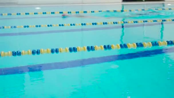 Skill Swimmer Hardly Working Out Indoor Pool Swimming Track Healthy — Stock Video