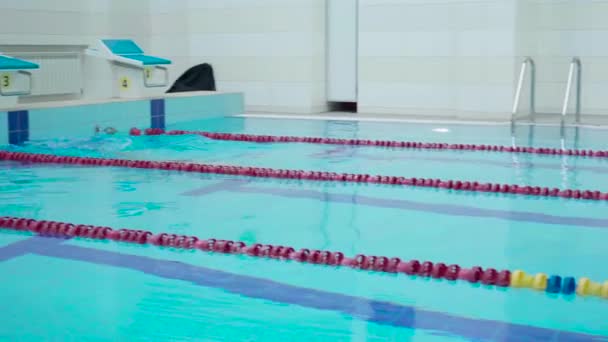 Skill Joven Nadador Apenas Entrando Piscina Cubierta Nadando Otro Lado — Vídeos de Stock