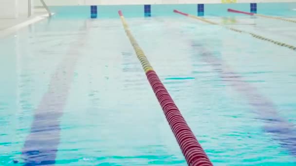 Compétence Jeune Nageur Dans Piscine Intérieure Nageant Travers Piste Mode — Video