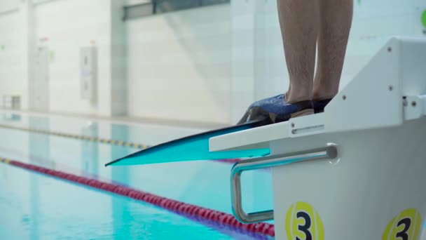 Sportieve Professionele Mannelijke Zwemmer Springt Het Zwembad Met Flippers Vanaf — Stockvideo