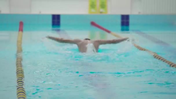 Nadador Profesional Que Apenas Hace Ejercicio Piscina Nadando Través Pista — Vídeos de Stock