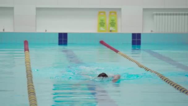 Nadador Profesional Piscina Cubierta Nadando Través Pista Estilo Vida Saludable — Vídeo de stock