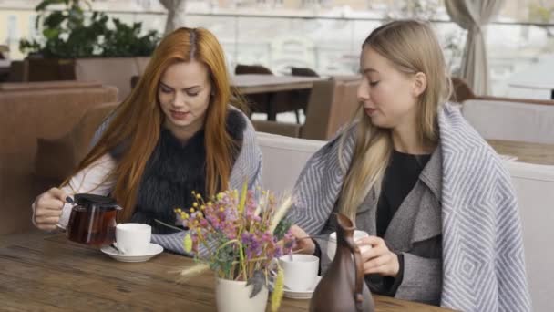 Two Smiling Caucasian Girlfriends Covered Blankets Sitting Cafe Chatting Drinking — Stock Video