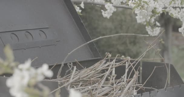 Großaufnahme von trockenen Ästen, die im Grill liegen, mit männlicher Hand beleuchtet Streichholz. Unerkennbarer Mann bereitet Grill für das Kochen im Freien vor. Lebensstil, Kochkunst. — Stockvideo