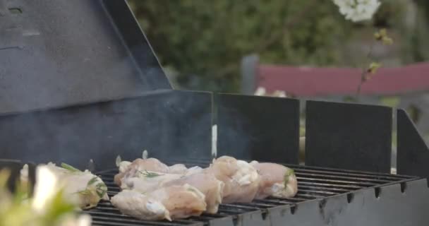 Surowe mięso z kurczaka grillujące na grillu. Zbliżenie smacznego jedzenia przygotowującego się na grillu. Gotowanie, grill, grillowanie, wypoczynek na świeżym powietrzu. — Wideo stockowe
